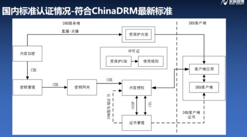 浦江論道 永新視博李自東談符合融媒體安全的版權(quán)保護(hù)系統(tǒng)，構(gòu)建IPTV行業(yè)健康生態(tài)